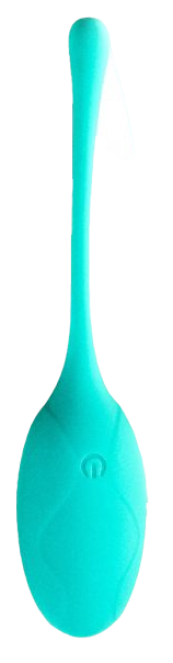 ZENN Remote Controlled Love Egg