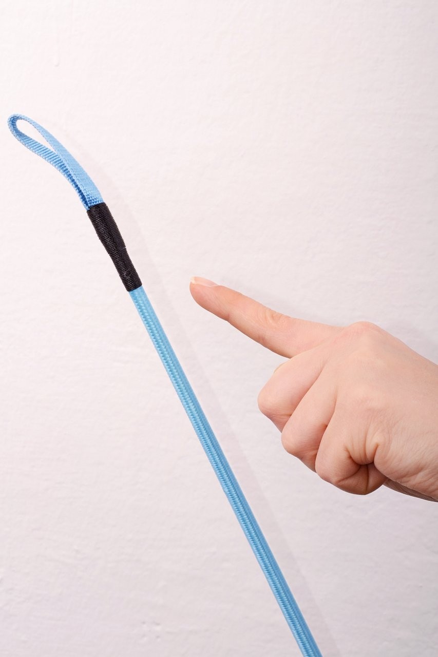 Kék ostor 60 cm