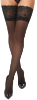 Kotek Hold Ups H008